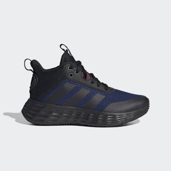 Fashion Adidas Ownthegame 2.0 Shoes Victory Blue