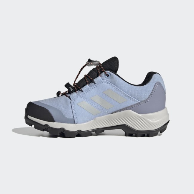 Blue Dawn Adidas Terrex GORE-TEX Hiking Shoes