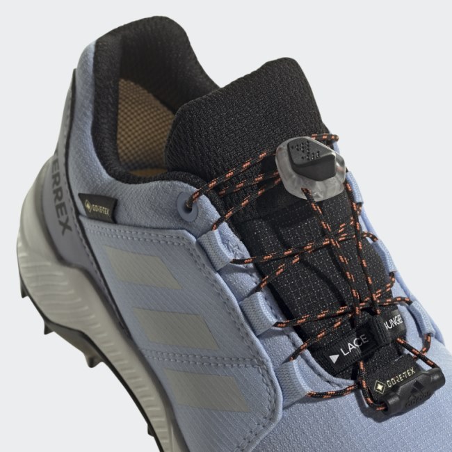 Blue Dawn Adidas Terrex GORE-TEX Hiking Shoes
