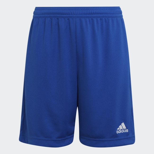 Royal Blue Entrada 22 Shorts Adidas