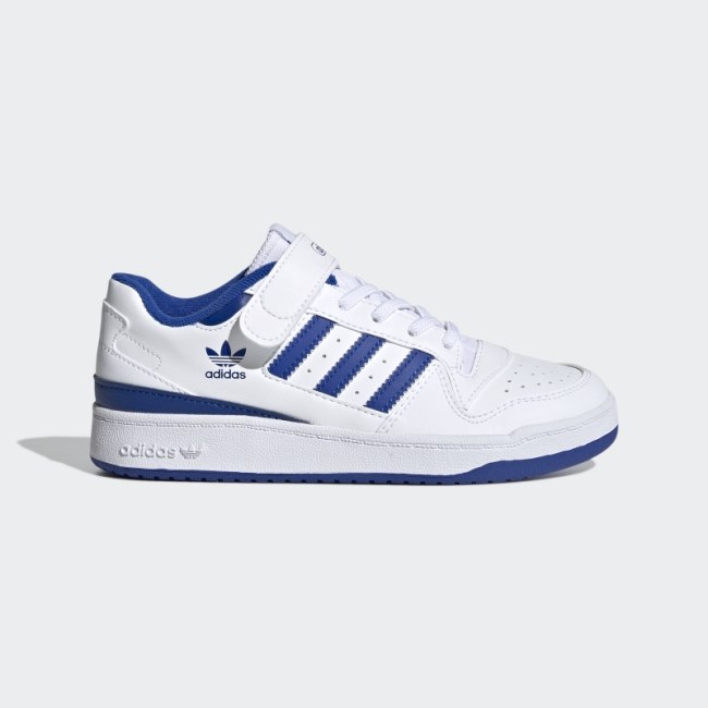 Adidas Forum White/Royal Blue Low Shoes