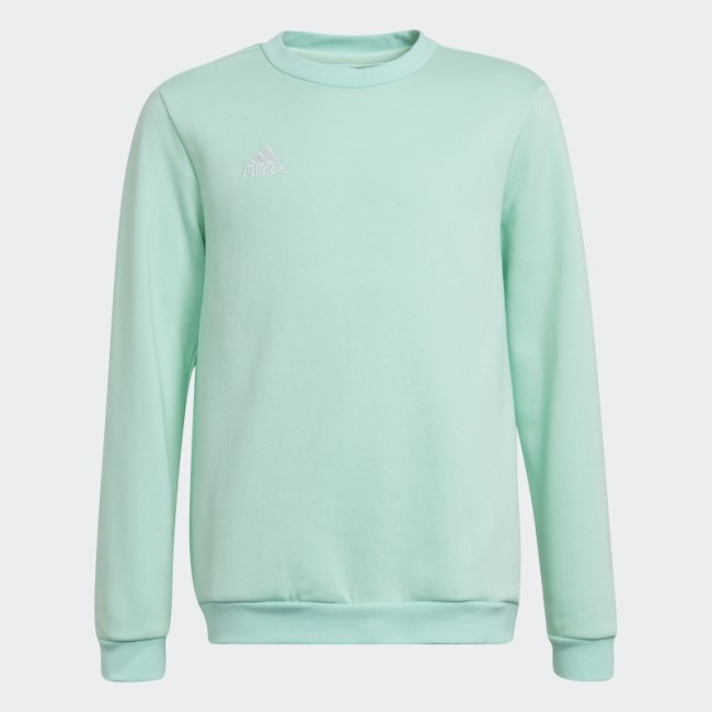 Entrada 22 Sweatshirt Adidas Mint