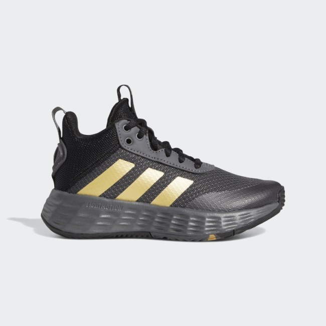 Grey Adidas Ownthegame 2.0 Shoes